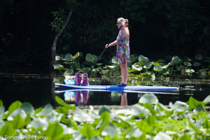 Wacissa River Park, Jefferson County