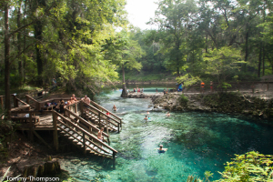 Madison Blue Springs