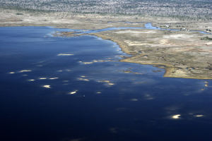 The shallow shoreline of Taylor County, north of Keaton Beach