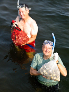 Scalloping at low tide is fun for everyone!