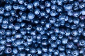 Blueberries...good eats!