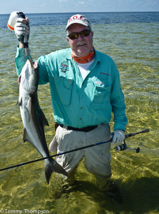 Sometimes you'll need to get in the water to land a cobia--especially if you're using light tackle!