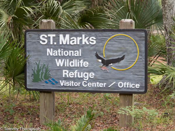 Down The Less-Beaten Path Through The St. Marks National Wildlife Refuge