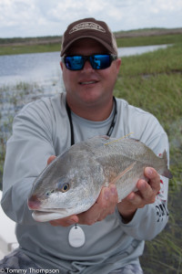 CCA Florida's Executive Director, Brian Gorski, prepares to release a tagged redfish on Florida's Natural North Florida coastline.