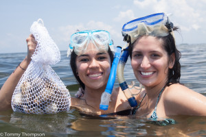 Harvesting bay scallops is fun, and having access to a boat makes it easier!