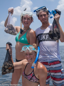 This is what scalloping is "all about"!