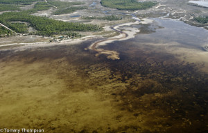 Hagen's Cove sits between Sponge Point and Piney Point, on the Taylor County, FL coastline.