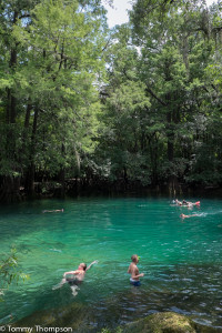 Manatee Springs State Park is about 8 miles from Bett's Big T Restaurant in Chiefland, FL