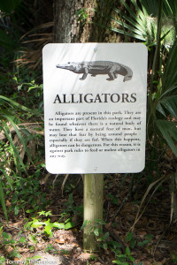 Wildlife abounds, especially at the shore of Lake Wauburg