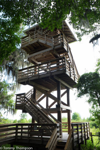 Climb the 50-foot observation tower near the Visitors' Center for a great view of the prairie.