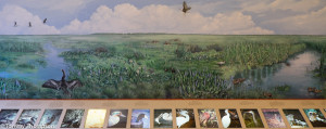 Interpretive displays in the Visitors' Center