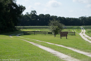 The north trailhead, with separate paths for horses and off-road bikes. 