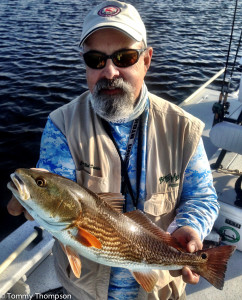 Artificial lures (topwater plugs, soft plastics and noisy slow-sinking baits) work best for early AM Big Bend redfish.