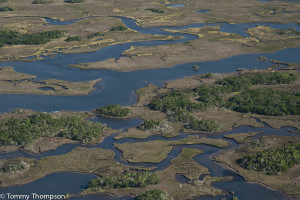 The backwaters between Cedar Key and Suwannee provide excellent fishing in summer months.