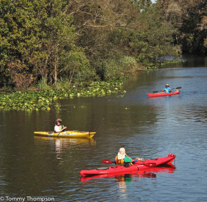 kayak-1