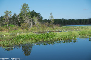 Lake Butler's namesake:  Lake Butler, on the western edge of town.