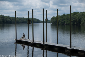 Power boats are not permitted to enter the spring run, but there's good dockage (and fishing) at the confluence of the run and the Suwannee River.