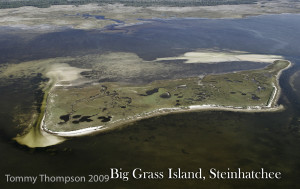 Big Grass Island and the bay to its east is worth investigating. But only on higher water!