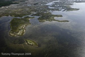 The Dixie County shoreline south of Steinhatchee offers excellent fishing and access for paddle craft.  Hardy Point is just south of Rocky Creek.