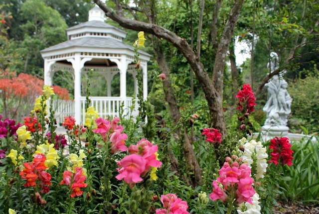 Visit Gainesville S Kanapaha Botanical Gardens You Ll Be Surprised