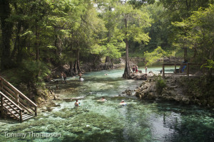 Madison Blue Springs pumps constant 72-degree water into the Withlacoochee River, northeast of Madison, FL