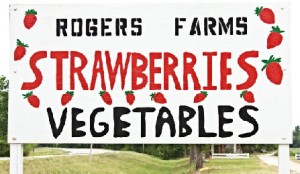 To get to Rogers' Farm: Take SR 121 N. From Gainesville to NW 156 Ave. Phone: 386-462-2406 