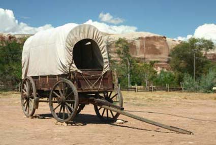 36th Annual Pioneer Day Festival