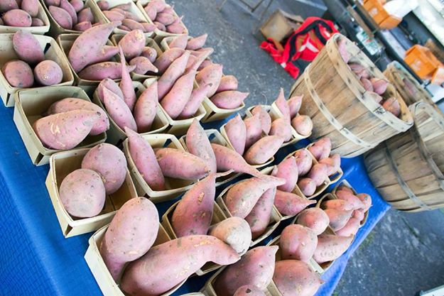 Alachua County Farmers Market