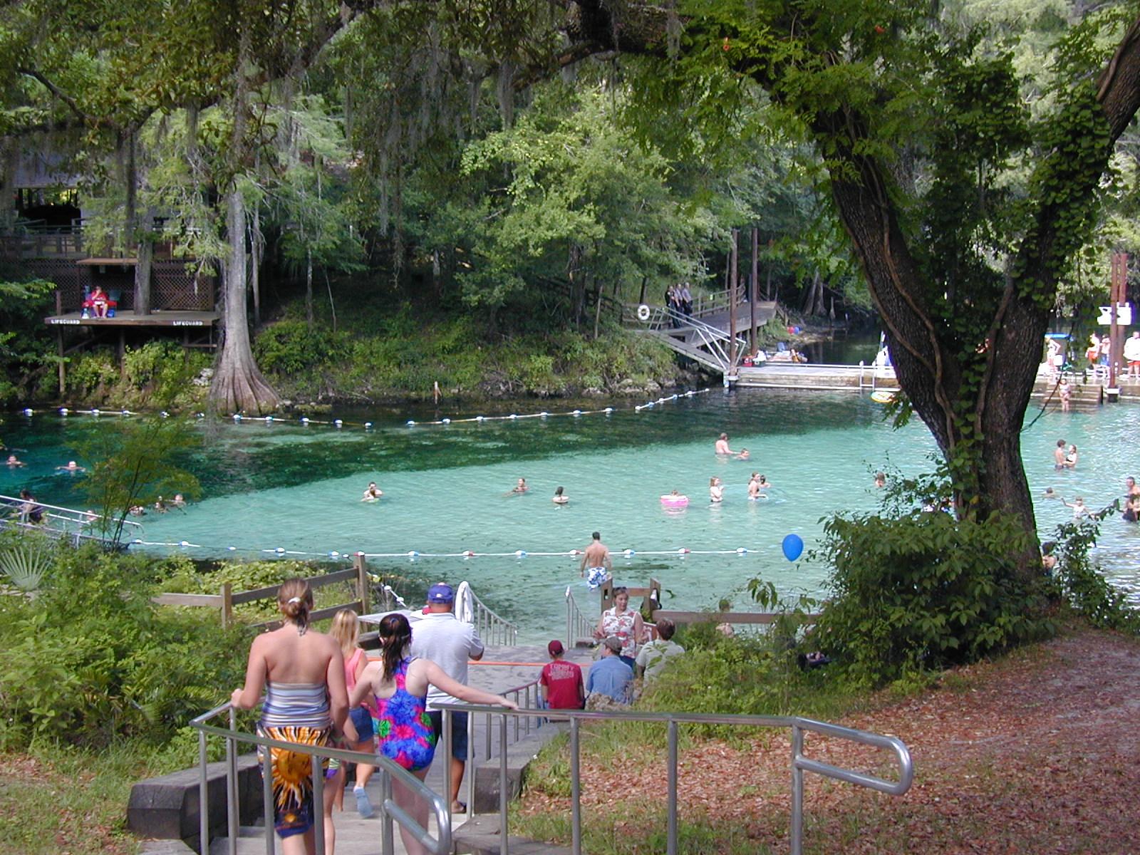 Fanning Springs State Park Visit Natural North Florida Fanning Springs State Park