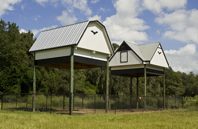 University of Florida Bat House