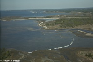 Hagens Cove is a great place to look for wintertime trout and reds