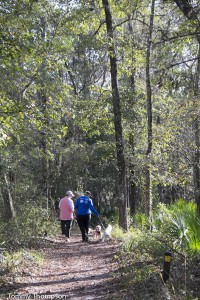 Hiking is a popular pastime at O'Leno State Park.  Bikes and dogs are allowed on certain trails.