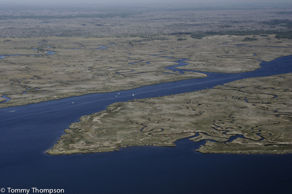 Barnett Creek, near the mouth of Florida's Suwannee River, is an excellent destination for seatrout fishermen, in winter months. 