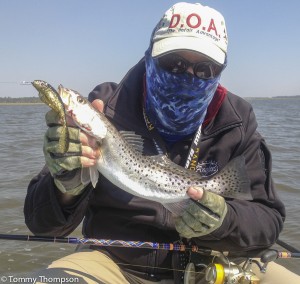 A typical fat seatrout at Barnett Creek!