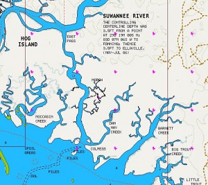 Barnett and Dan May Creeks are easy to reach from the town of Suwannee, in Dixie County.  They're at the southern end of East Pass