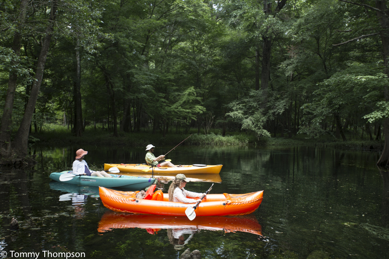 Ginnie Springs, Gilchrist County 