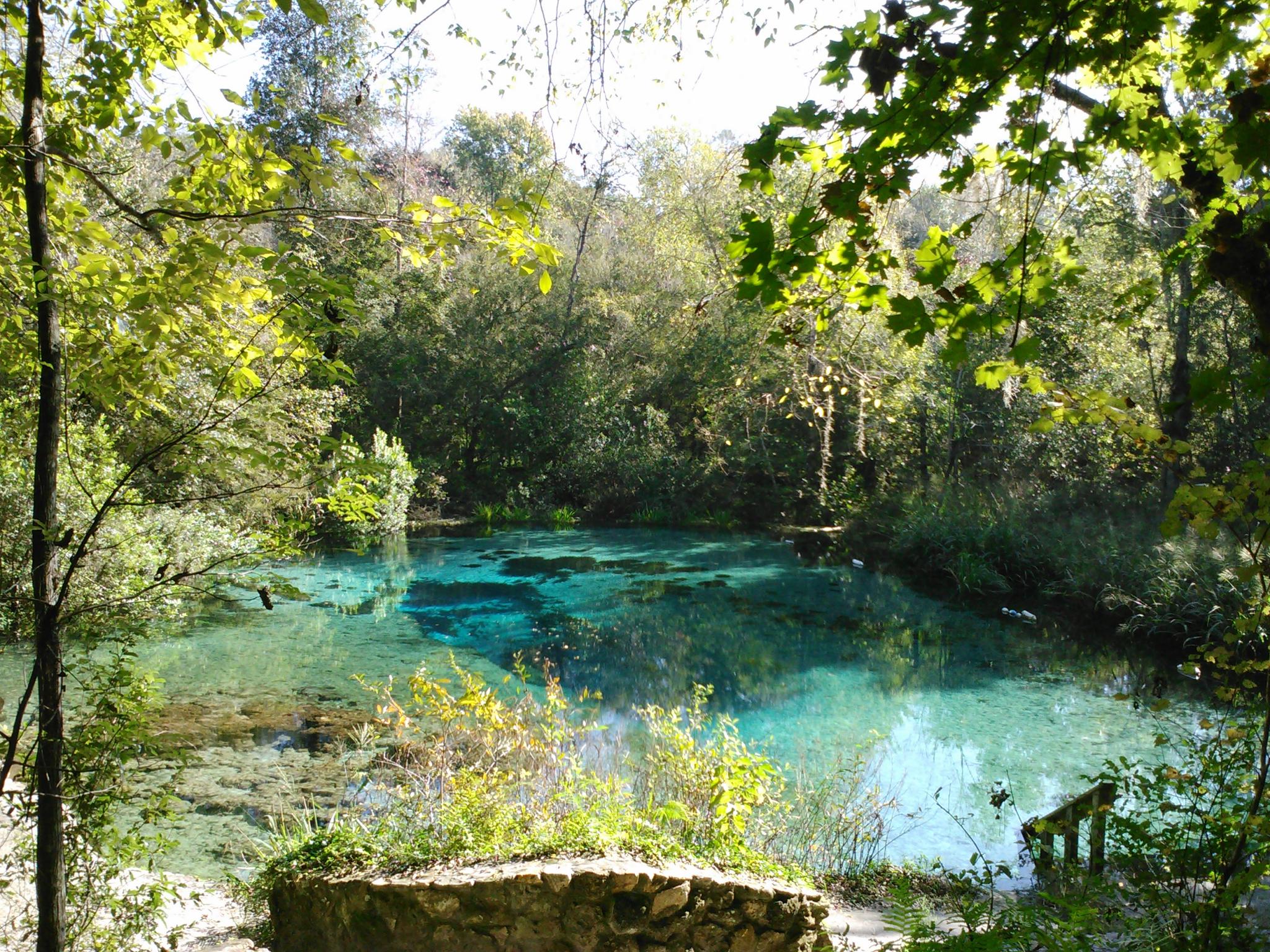 Ichetucknee Springs State Park