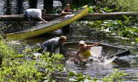 Wild Hog Canoe and Kayak Race