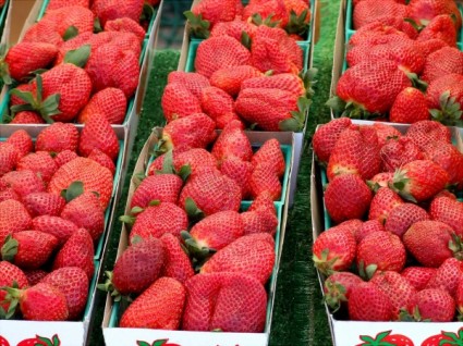 Lake Desoto Farmers Market