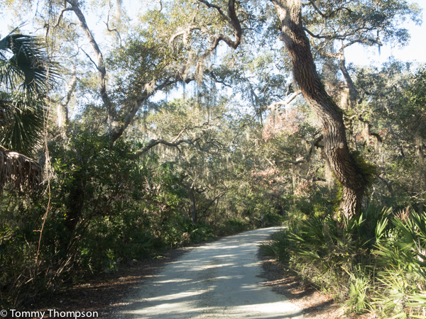 The mound can be found down the winding road that leads to the shallow boat launch.