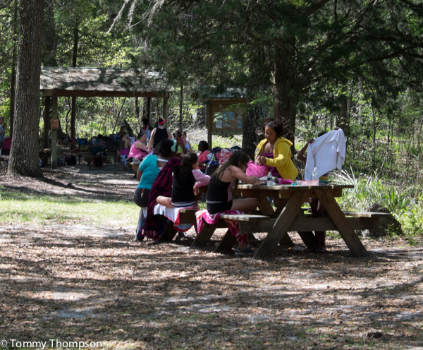 ...and once you're dried off with a warm towel, take advantage of Natural North Florida's weather for a picnic or a hike!