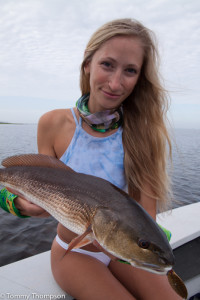 Redfish will certainly be a popular species at the 2016 Nauti-Girls Tournament