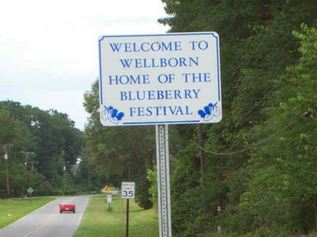 23rd Annual Wellborn Blueberry Festival - Visit Natural North Florida