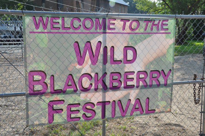 Wild Blackberry Festival