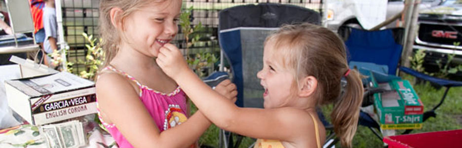 Annual Wellborn Blueberry Festival