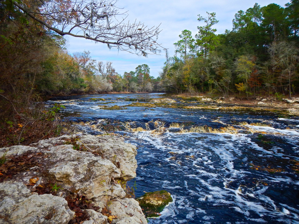 Big Shoals State Park