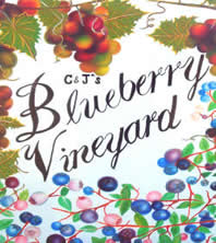 C & J'S Blueberry Vineyard