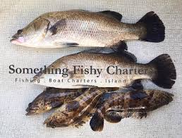 Something's Fishy Charters