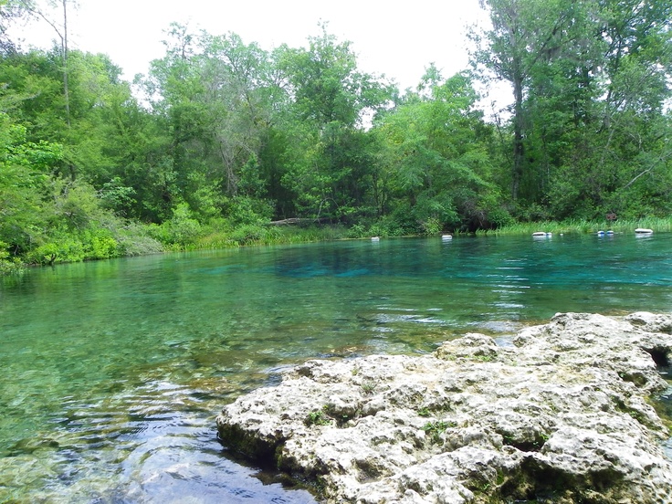 Suwannee County