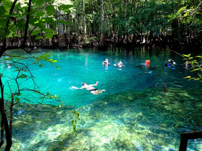 Manatee Springs State Park